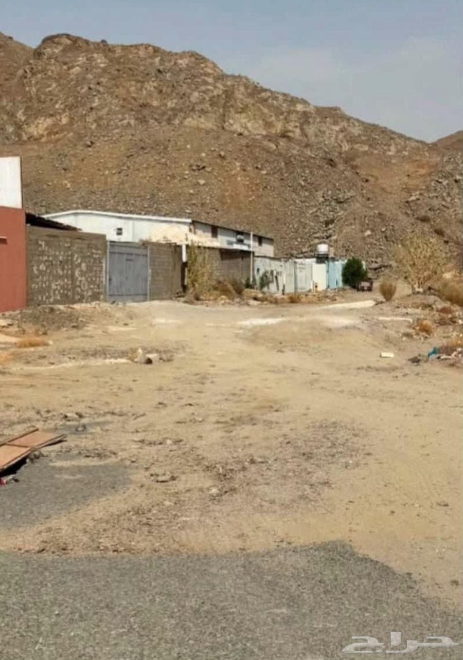 ارض مميزة مكة المكرمة حي ام الجود مساحه 1200 متر